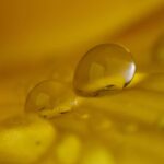 PHARMAGAL Propolis kapi 20 ml (3)