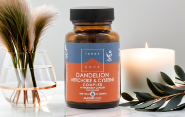 Terranova maslačak blog