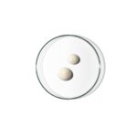 BABE HealthyAging+ eyes and lips multi corrector 15ml (2)