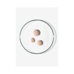 BABE Super Fluid Color Sunscreen SPF50 50 ml (2)