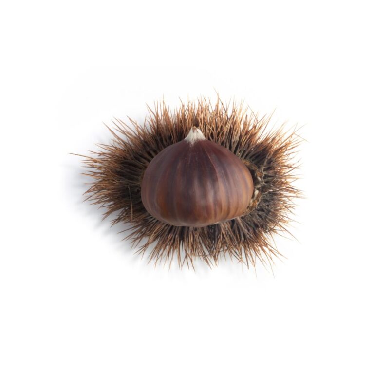 APIVITA Balzam za usne s kestenom 4,4 g (2)