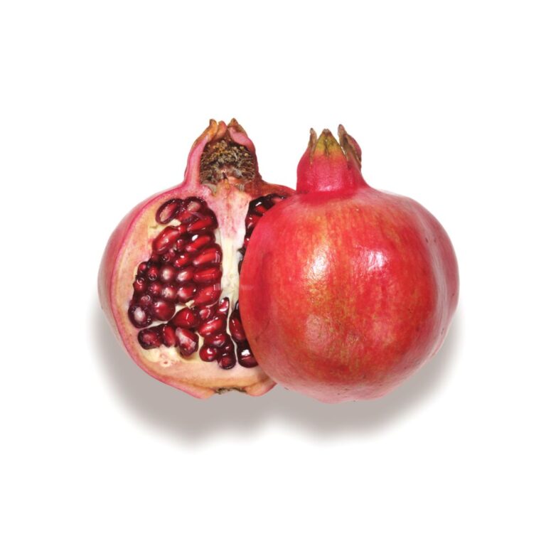 APIVITA Balzam za usne s narom 4,4 g (1)